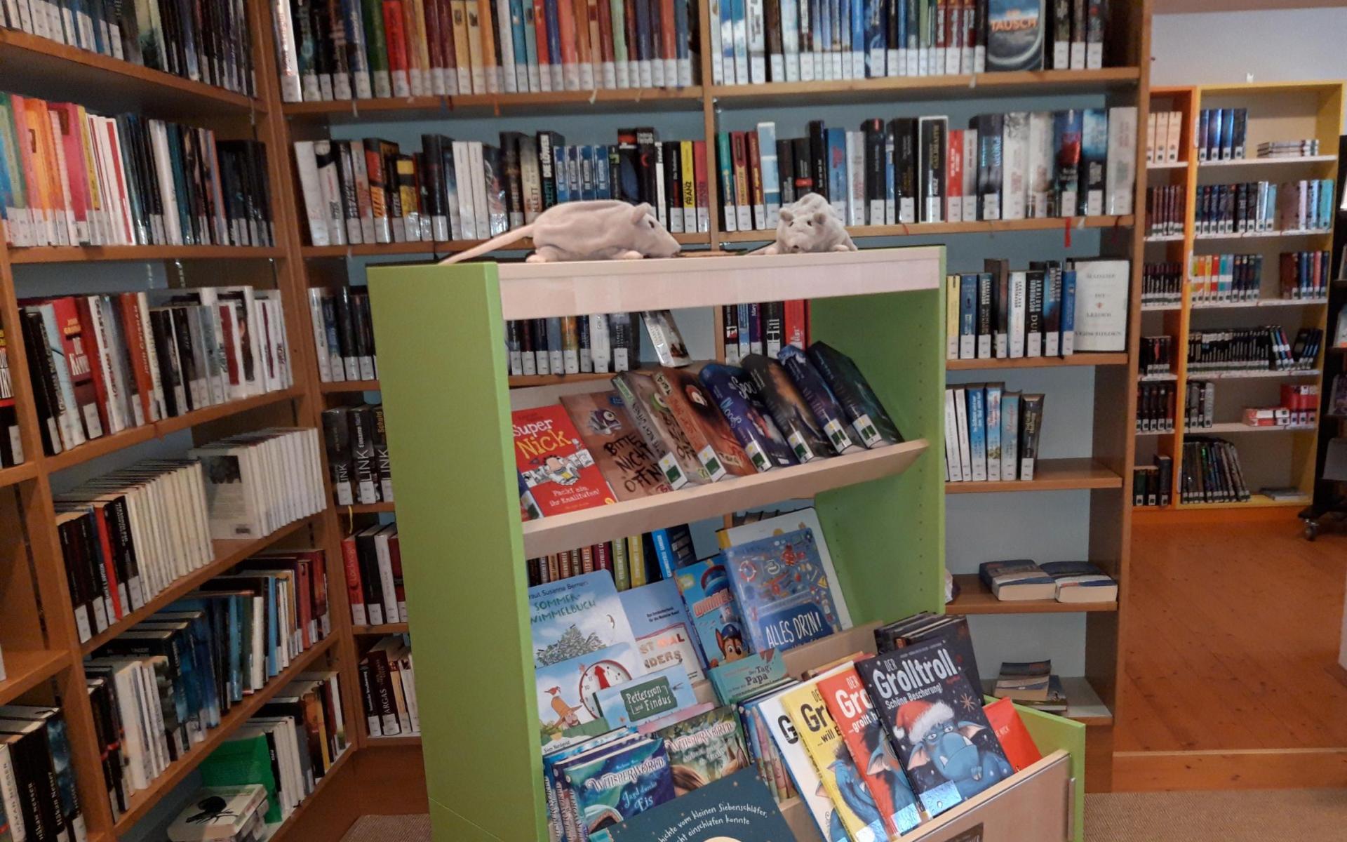 Bücherregale der Stadtbücherei Scheibbs